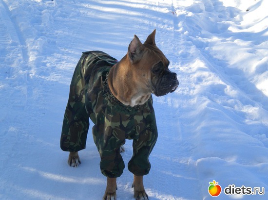 �������� ,9 ���, ������: �����