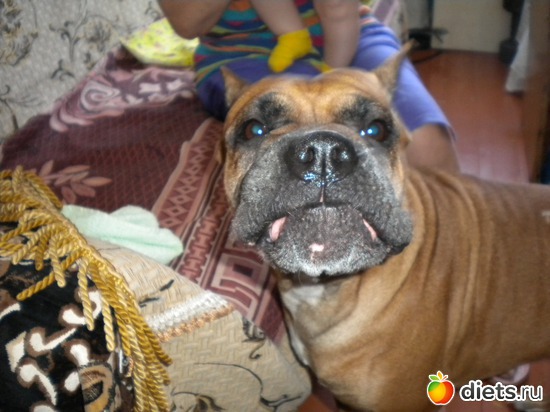 ��� �� �������, ������: �����