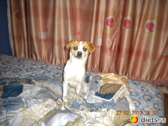 ��������� ����, �� ������-�� �� ���� �������!, ������: �����