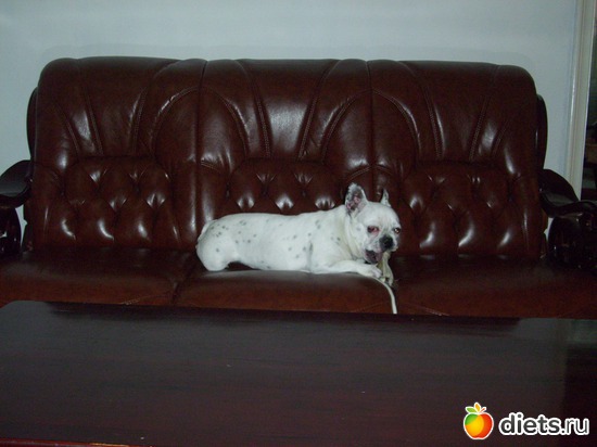 ��� ��������, ������: �����