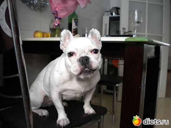 ��� �� ������, ������: �����