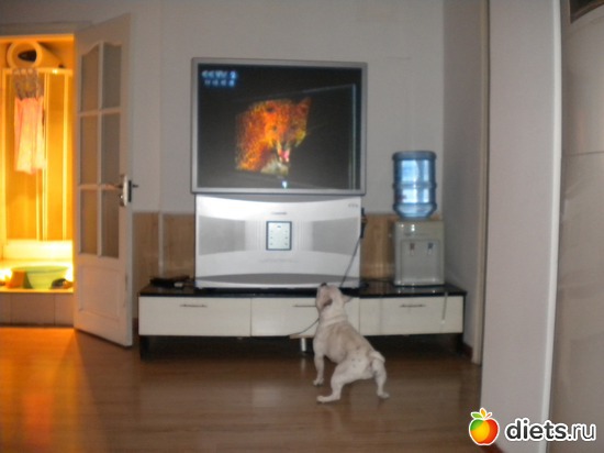 ������ ������� �� ����� ���-��������, ���� �� ����������, ������: �����