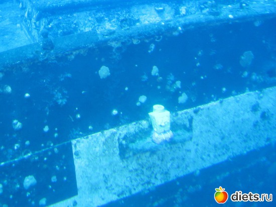 1 ����: ��������� Sponge Bob