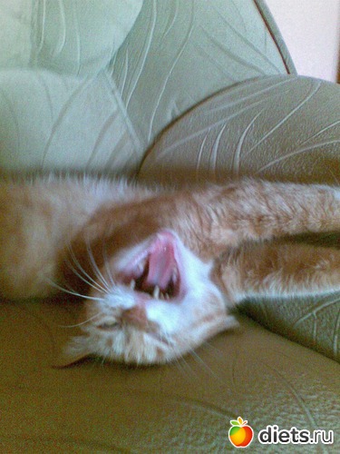 12 фото: Мои любимые девочки