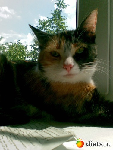 14 фото: Мои любимые девочки