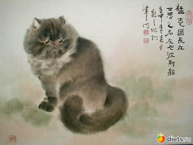 6 фото: Коты Гу Йинчжи (Gu Yingzhi)