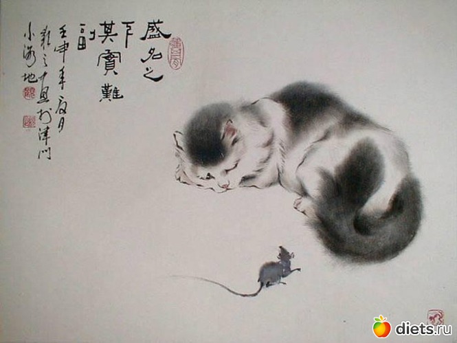 8 фото: Коты Гу Йинчжи (Gu Yingzhi)