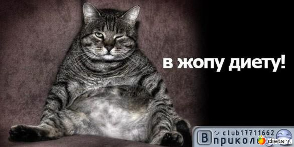 ���,���� �� ��� ���,��?, ������: ���