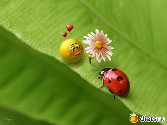 7 фото: Мой альбомчик