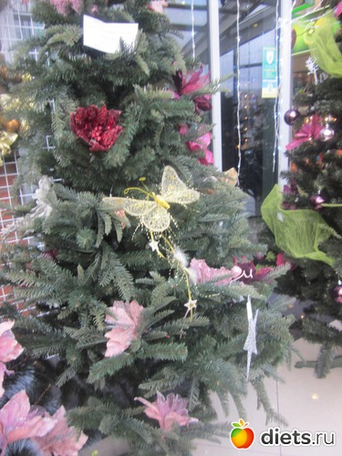 7 фото: Ёлочки со Львова