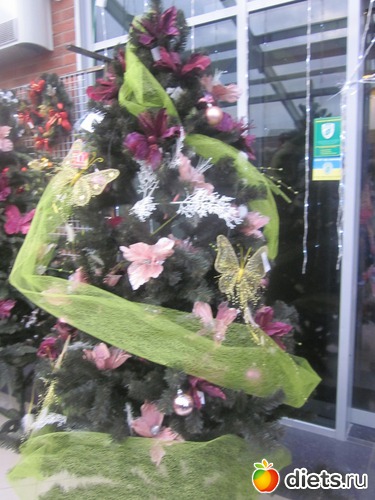 8 фото: Ёлочки со Львова