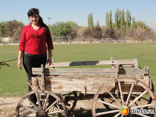 16 ����: ��� �����������