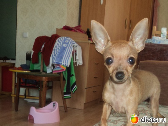 1 ����: ����