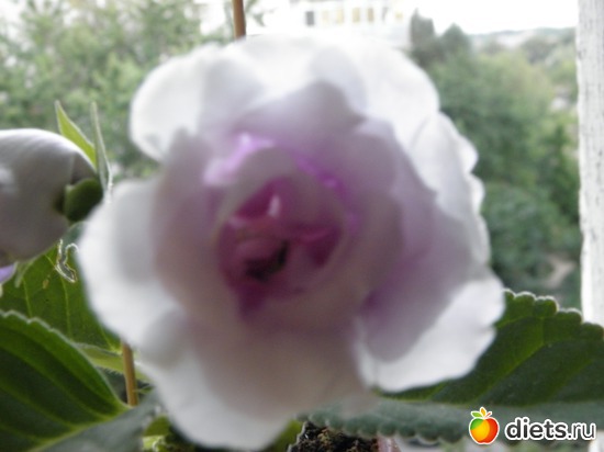 1 ����: ��� �����