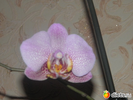 3 ����: ��� �����