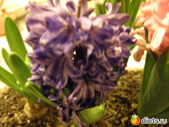 6 ����: ��� �����