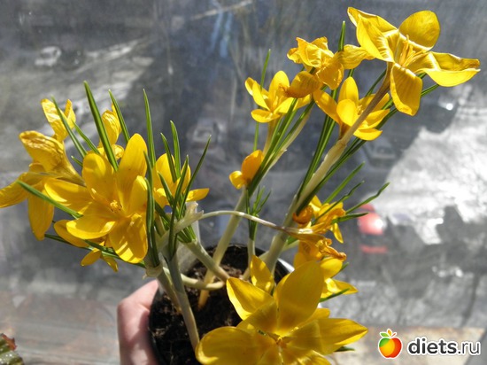 8 ����: ��� �����