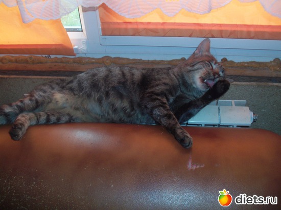 19 ����: �...