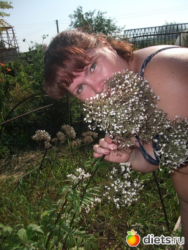 1 ����: �� ���� � ��� ���