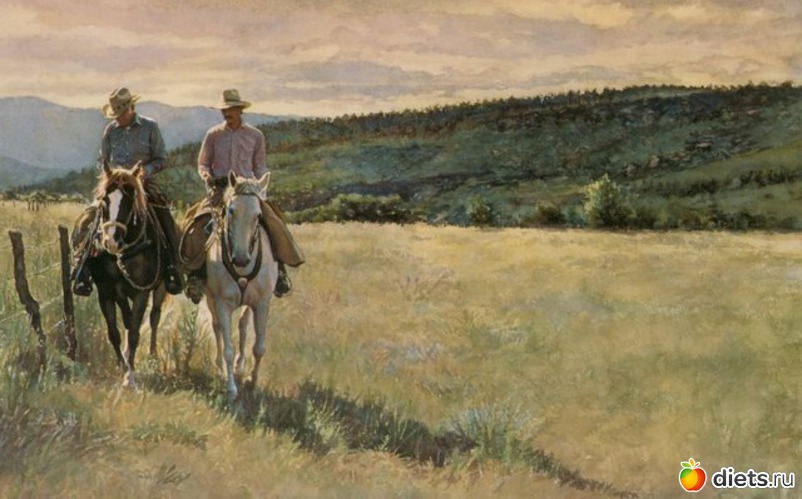 10 фото: Стив Хэнкс (Steve Hanks)