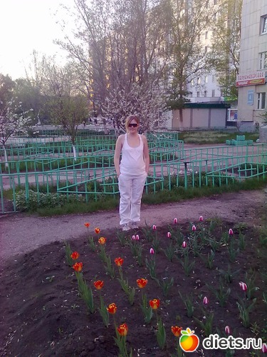 1 ����: ������������. ��, �� ����� � �����.