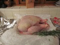 Turkey in waiting:-)