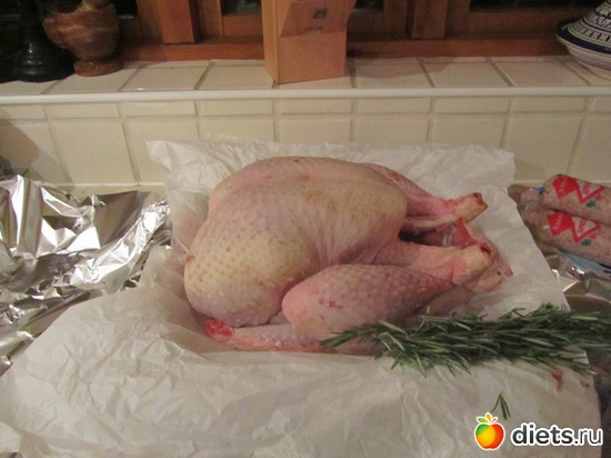 Turkey in waiting:-), ������: Xmas 2012
