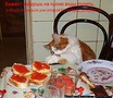 зайдешь на кухню