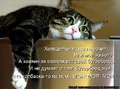 любимый холодильник