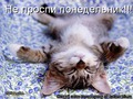 не проспи