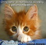 ребенок