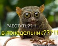 работать