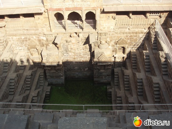 ���� �����- ������� ��� ����� �������� ����, ������: ����� � ������� 2011