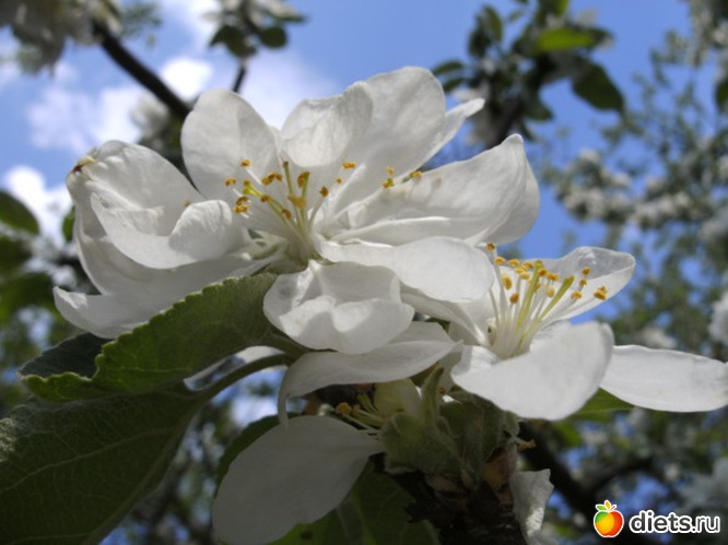 3 ����: *********