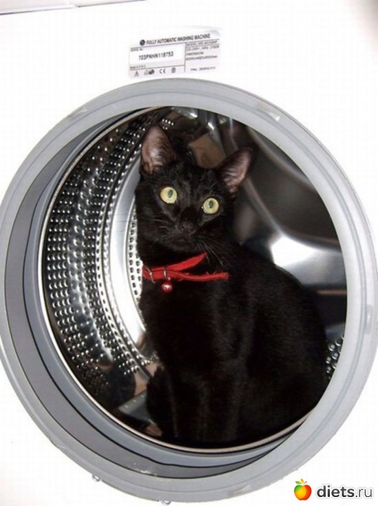 7 ����: *********