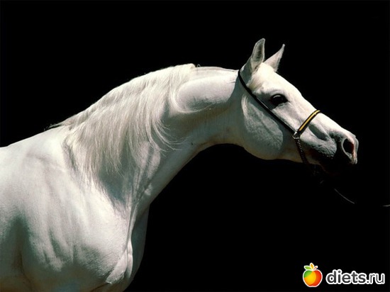 9 ����: *********