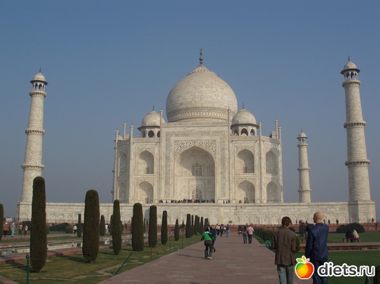 ��� �����, ������: ����� � ������� 2011