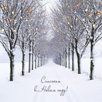 Замоталась!!!