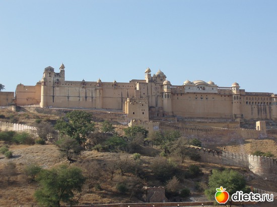 ���� �����, ������: ����� � ������� 2011