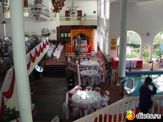 ���� ������� � �������, ������: ����� � ������� 2011