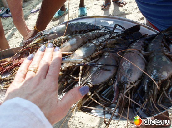 ����������� ��������(������ �� ���������� ���������), ������: ����� � ������� 2011