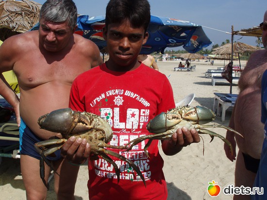 �������, ������: ����� � ������� 2011