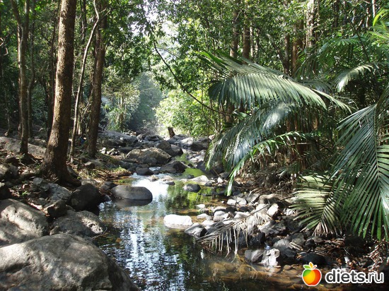 ������ �� �������, ������: ����� � ������� 2011