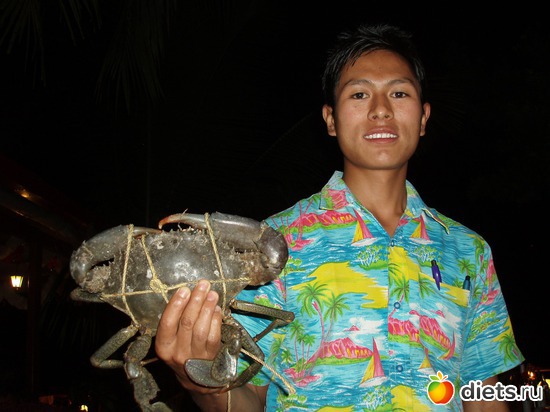 ���������� �������..., ������: ����� � ������� 2011