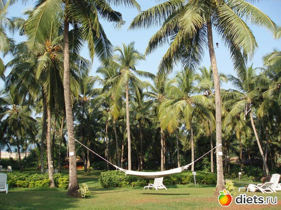 ���������� �����, ������: ����� � ������� 2011