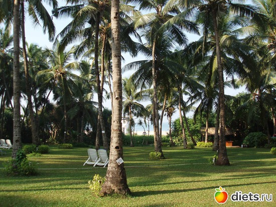 ������ �����, ����� ���������� ����, ������: ����� � ������� 2011