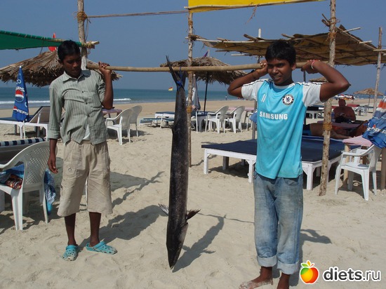 ��������, ������: ����� � ������� 2011