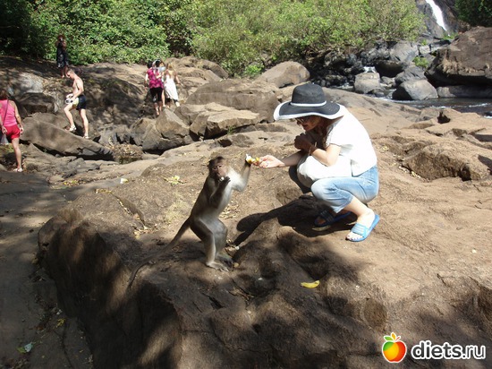 ��� ����� �� ������ ����� �������, ������: ����� � ������� 2011