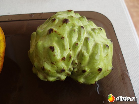 ������ ��� ��������� ��� ��������� ������- ����������, ����������� ������, ������: ����� � ������� 2011