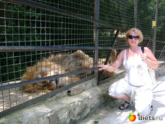 ���� �������. ��� �����, ������: ����. ������. ���� 2010